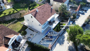Waterfront Apartment Petrovina